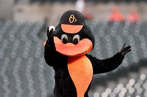 Orioles Mascot Is Headed To The Hall Of Fame Wiad Fm