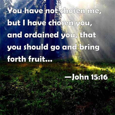 John 1516 You Have Not Chosen Me But I Have Chosen You And Ordained