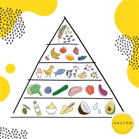 Piramide Alimentare Cos’è E Come Funziona