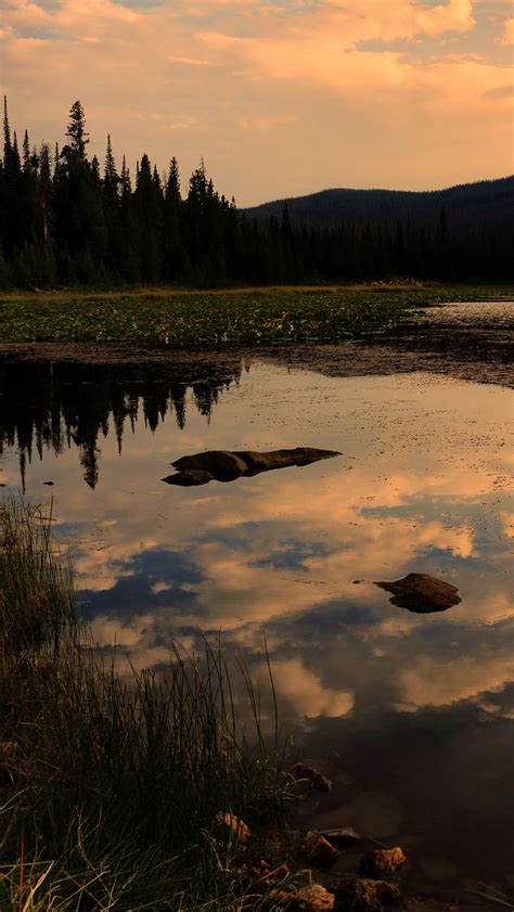Download Wallpaper 800x1420 Lake Trees Spruce Reflection Sky Clouds Iphone Se5s5c5 For