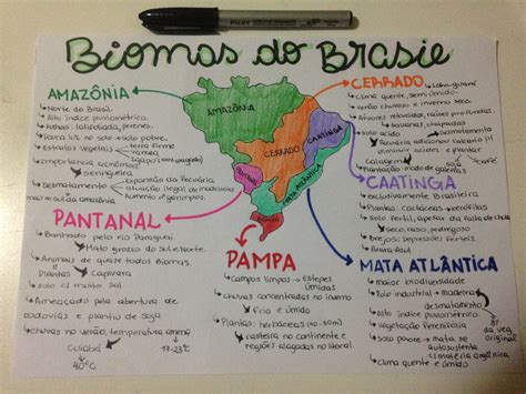 Mapa Mental Sobre Os Biomas Brasileiros Mapa Meta