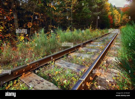 Railroad Tracks Go Through Autumn Mountain Forest Sunny Weather Stock