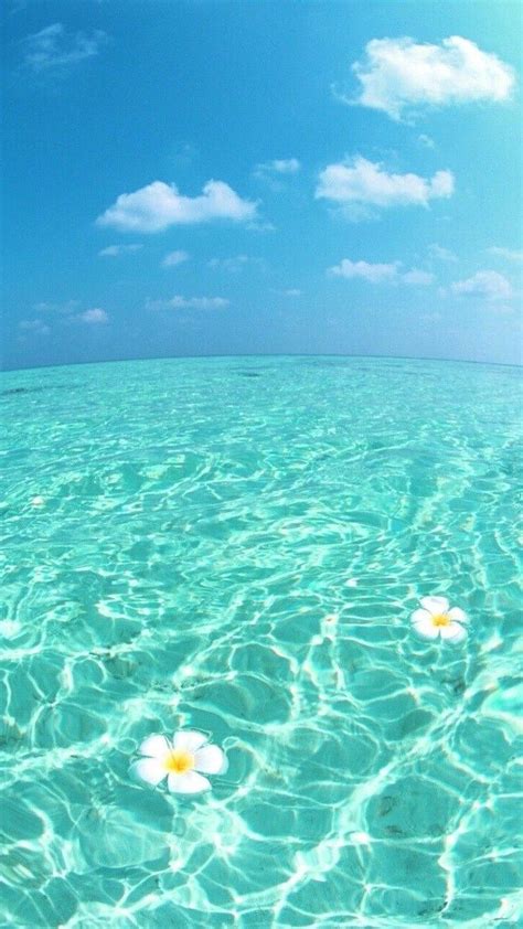 3d Sea Wallpaper Online Shop, Save 63% | jlcatj.gob.mx