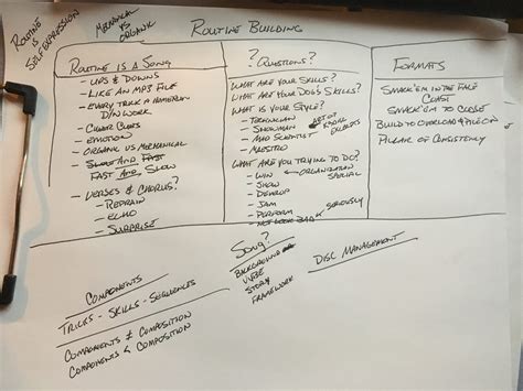 Behind the Scenes | Routine Building Notes - Pawsitive Vybe