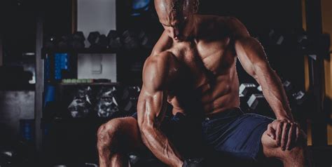 bíceps tríceps y antebrazos ¡el entreno definitivo entrenamiento de brazo bíceps
