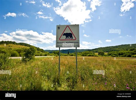 Brown Bear Warning Sign In The Wilderness Of Subcarpathian Voivodship