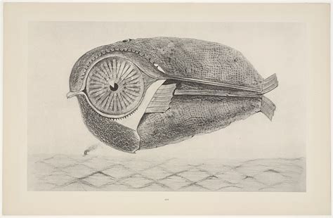Max Ernst The Fugitive LÉvadé From Natural History Histoire