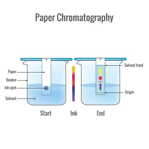 Paper Chromatography Analytical Method For The Separation Of A Mixture