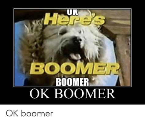Heres Boomer Ok Boomer Know Your Meme