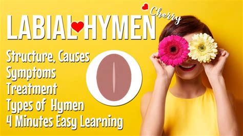 Labial Hymen Rare Types Of Hymen Structure Symptoms Diagnosis