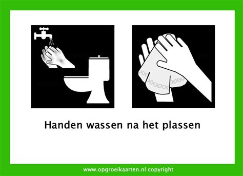 Zindelijkheidstraining Handen Wassen Na Het Plassen
