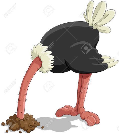 7905604 The Ostrich Has Buried A Head In Sand Stock Vector Ostrich