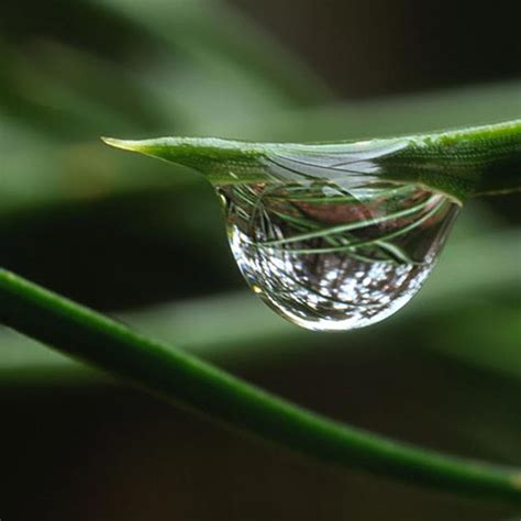 How to photograph water droplets