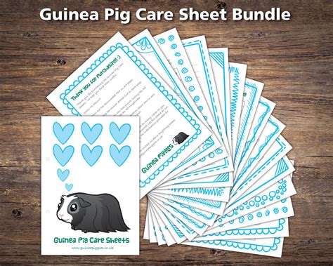 Guinea Pig Food List Printable Pdf Pink And Blue Bundle Denmark What