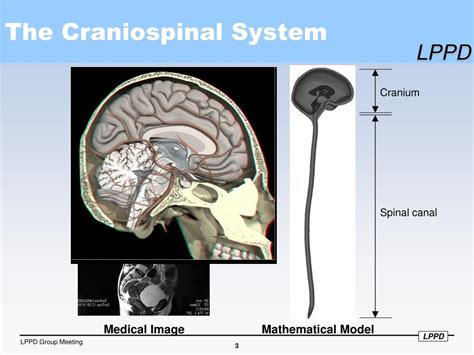 PPT Measurements And Computational Modeling Of Cerebrospinal Fluid Flow In Humans PowerPoint