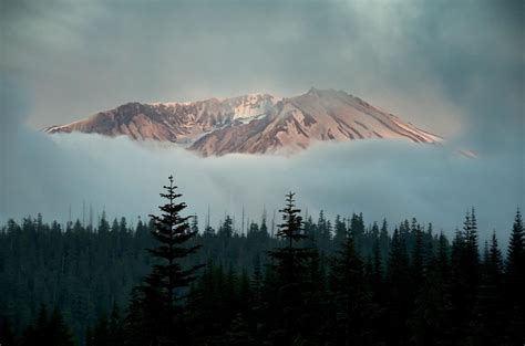 Nature Landscape Winter Snow Mountain Trees Forest Mist Clouds