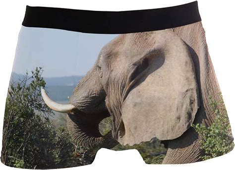 Pnglld Men Boxer Briefs South Africa Wildlife Elephant Underwear For