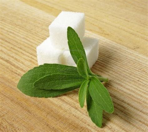 Stevia Natural Sweetener 300 Times Sweeter Than Sugar Health Surgeon