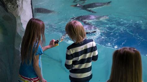 National Sea Life Centre Birmingham Places To Go Lets Go With The