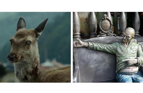 Ilmuwan: Virus Rusa Zombie Kemungkinan Sudah Menyebar ke Manusia