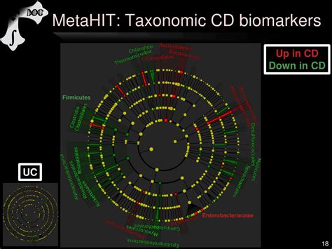 Ppt Computational Metagenomics And The Human Microbiome Powerpoint