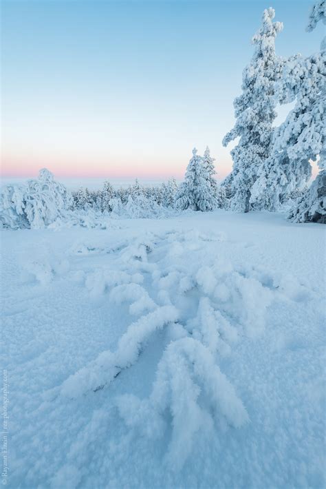 Lapland Winter Pictures - Rayann Elzein Photography