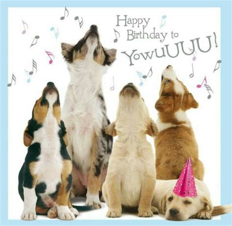 Singing Dogs Happy Birthday Dog Meme Happy Birthday Pictures Happy