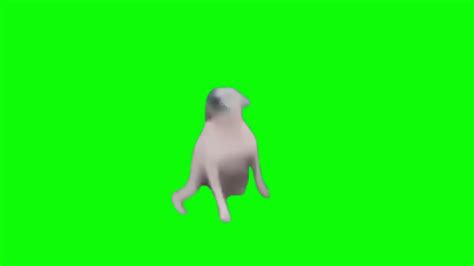 Dancing Dog Meme Green Screen In This Video I Have Mentioned 46 Green