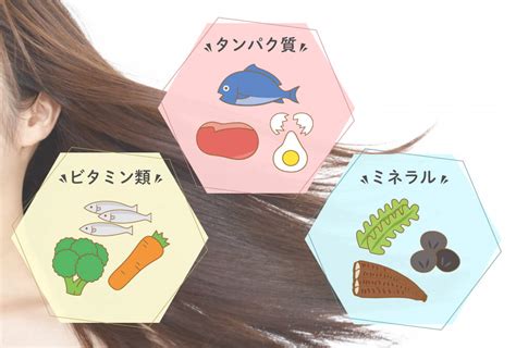 ツヤ髪につながる食べ物や栄養とは？髪にいいおすすめの食べ物11選｜prezoプレゾ 北海道の豊かな恵みを産地直送