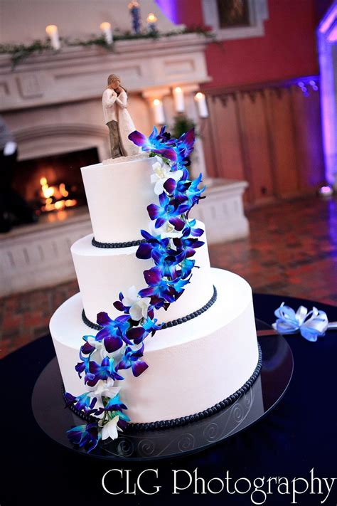 love the orchids orchid wedding cake wedding color schemes blue blue orchid wedding