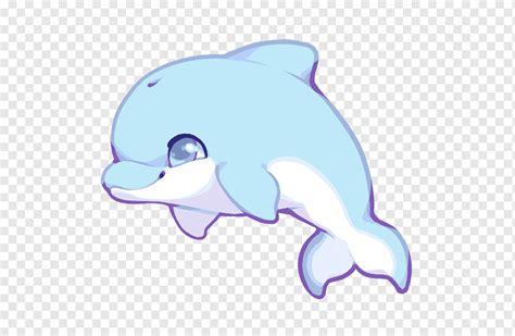 Cute Baby Dolphin Drawing