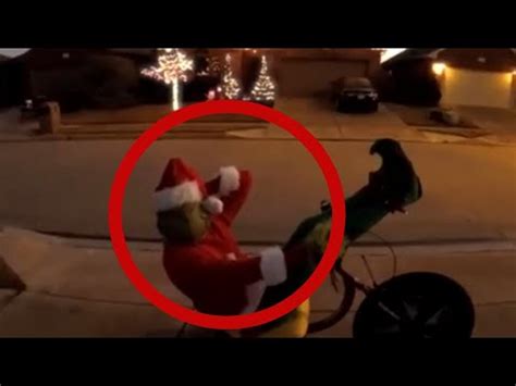 Grinch Spotted In Real Life Caught On Camera Youtube