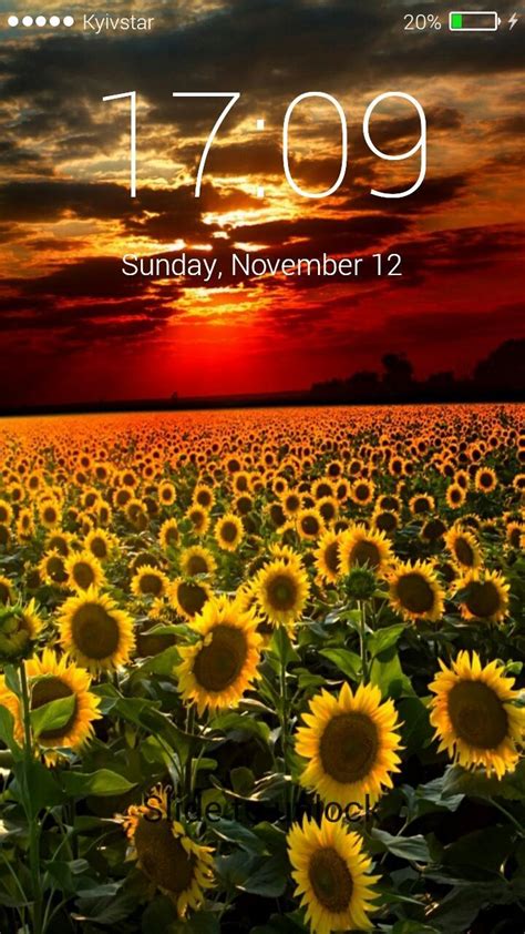 Download Do Apk De Sunflower Field Lock Screen Para Android