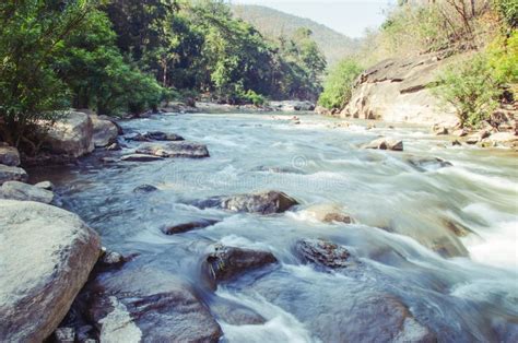 Creek And River Flowing Through Along Rocks Stock Image Image Of
