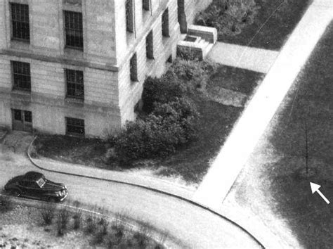 Jesse Owens Olympic Oak Trees Survive