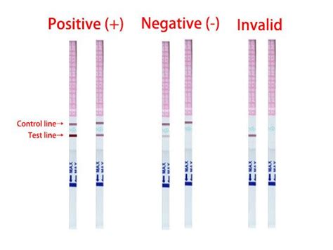 Ovulation Test Strip Chart Printable