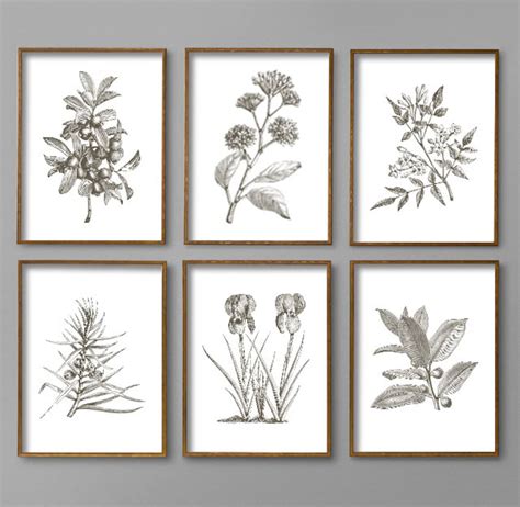 Botanical Prints Botanical Print Set Botanical Art Botanical Etsy