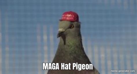 Maga Hat Pigeon Meme Generator