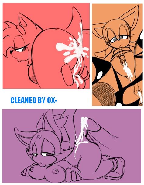 Rule 34 After Sex Amy Rose Anthro Anus Ass Blaze The Cat Breasts Cat