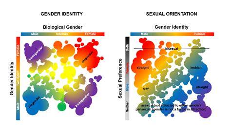 Between The Gender Lines The Science Of Transgender Identity