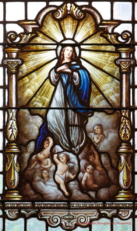 Solemnity Of The Assumption Of The Blessed Virgin Mary Roman Catholic Diocese Of Allentown