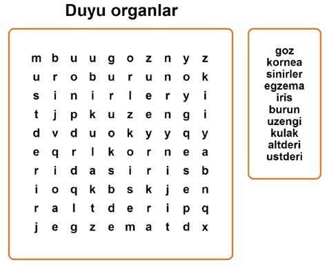 Simple Science: How to Make a Volcano with Kids