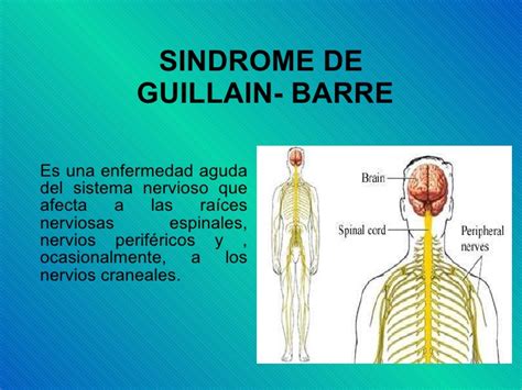 Typically, both sides of the body are involved, and the initial symptoms are changes in sensation or pain often in the back along with muscle weakness, beginning in the feet and hands, often spreading to the arms and upper body. Sindrome de guillain barre