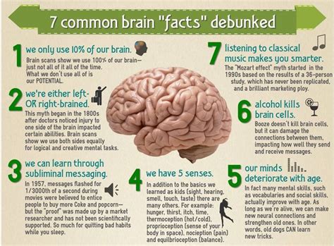 Pin By 𝙹𝚎𝚜𝚞𝚜 𝙻𝚘𝚟𝚎𝚜 𝚈𝚘𝚞 On B R A I N Brain Facts Facts Brain Scan