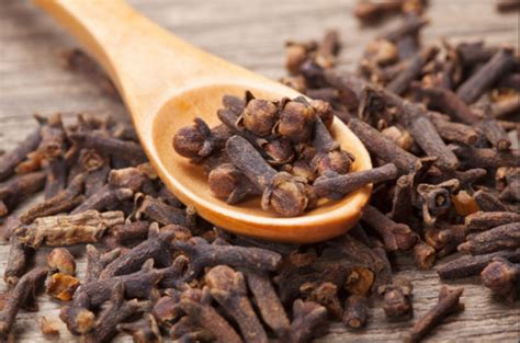 Chinese Herbs and Spices, Herbs Used in Chinese Cooking ...
