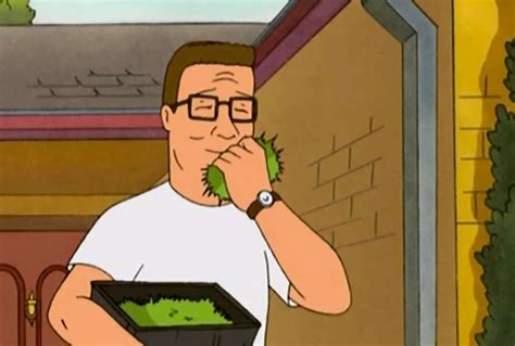 Gallery King Of The Hill Quotes That Perfectly Describe Texans
