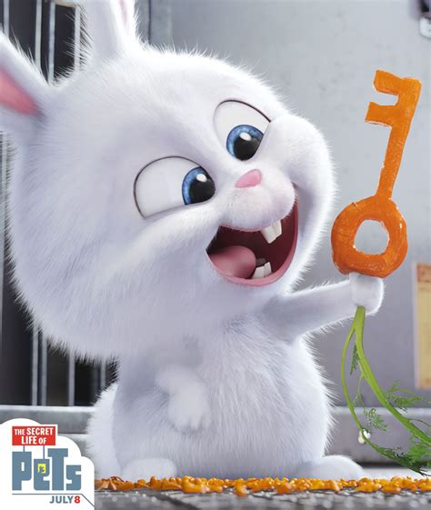 Snowball The Rabbit Tries Diy With This Carrot Key The Secret Life