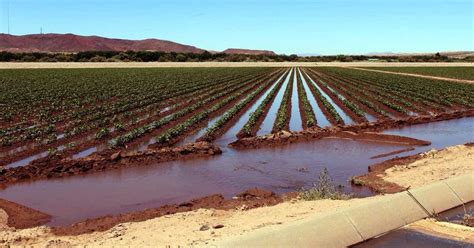 Farmers Invited To Meeting On Over Use Of Irrigation Water