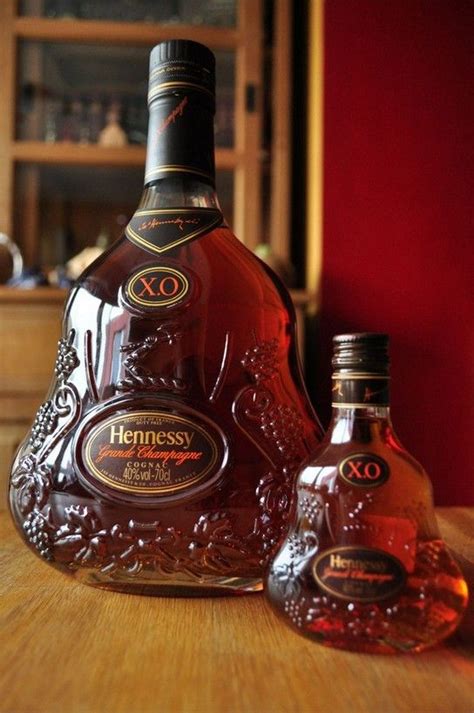 Before you buy a bottle of hennessy, there are a few things to consider to ensure you invest in the right option. Hennessy XO | Genie bottle, Bottle, Whiskey bottle