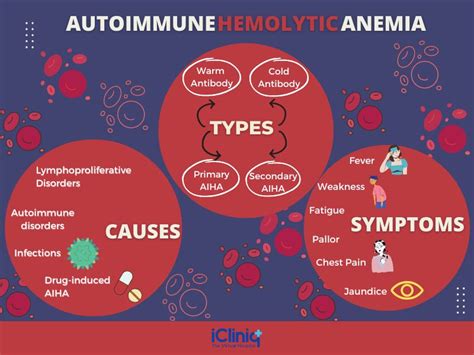 Autoimmune Hemolytic Anemias Types Causes Symptoms Diagnosis